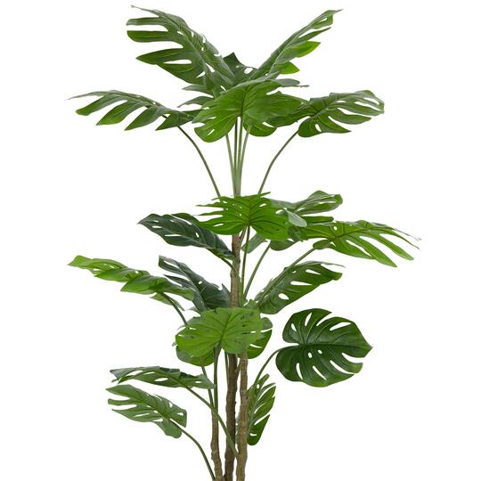 6ft. Potted Monstera Tree by Ashland®